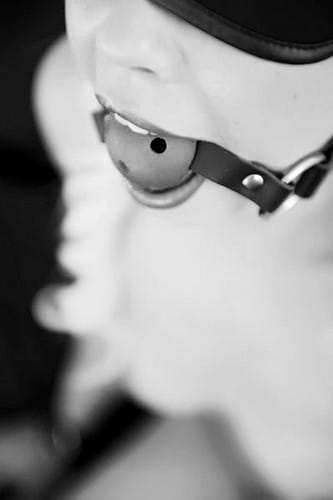 (Untitled)