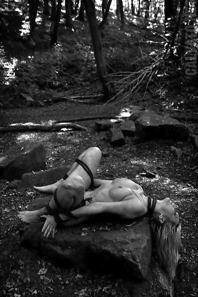 (Untitled)