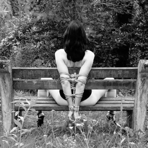 (Untitled)