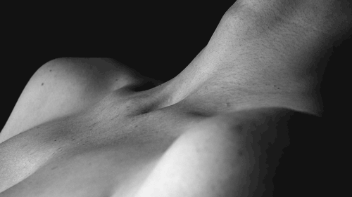 (Untitled)