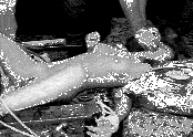 (Untitled)